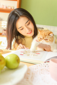 智勇三宝